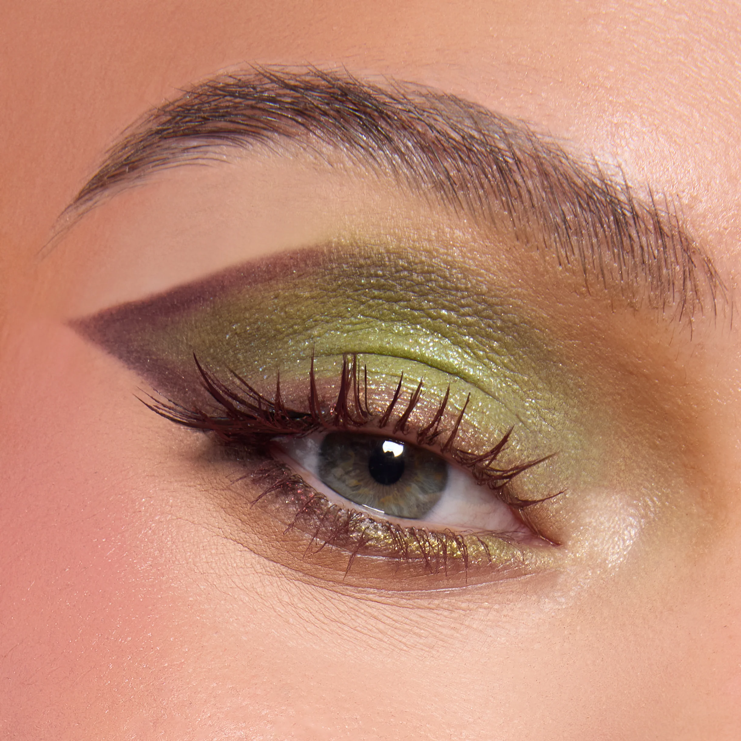 Shrek-Spress Yourself - Image 3